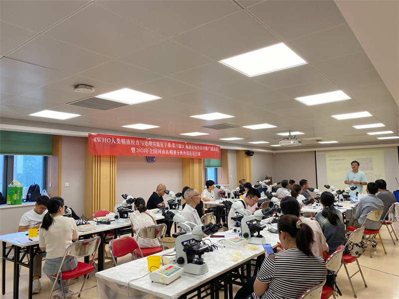 开云体云app官网入口