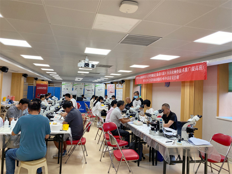 开云体云app官网入口