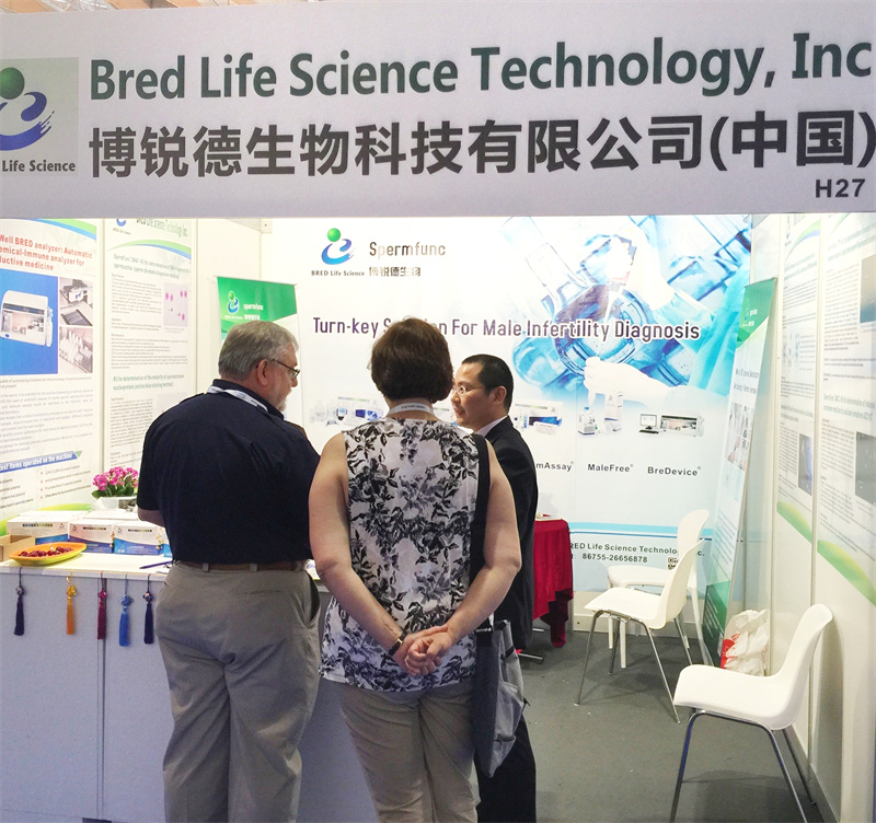 开云体云app官网入口