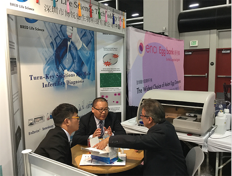 开云体云app官网入口