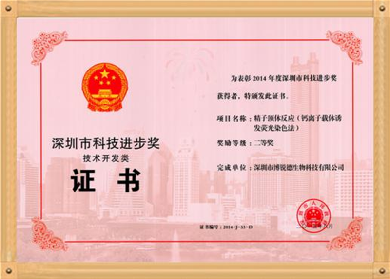 开云体云app官网入口