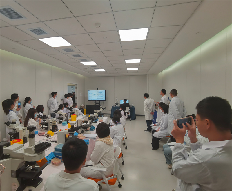 开云体云app官网入口