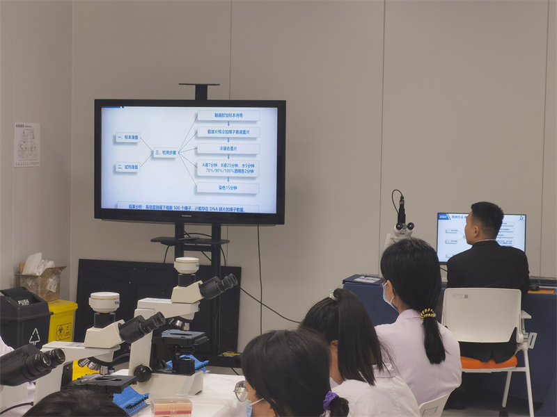 开云体云app官网入口