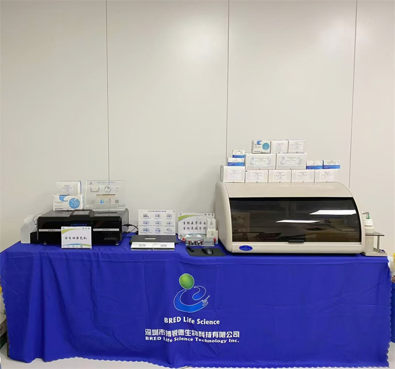 开云体云app官网入口