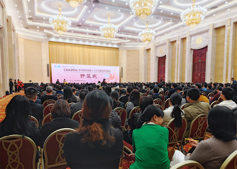 开云体云app官网入口