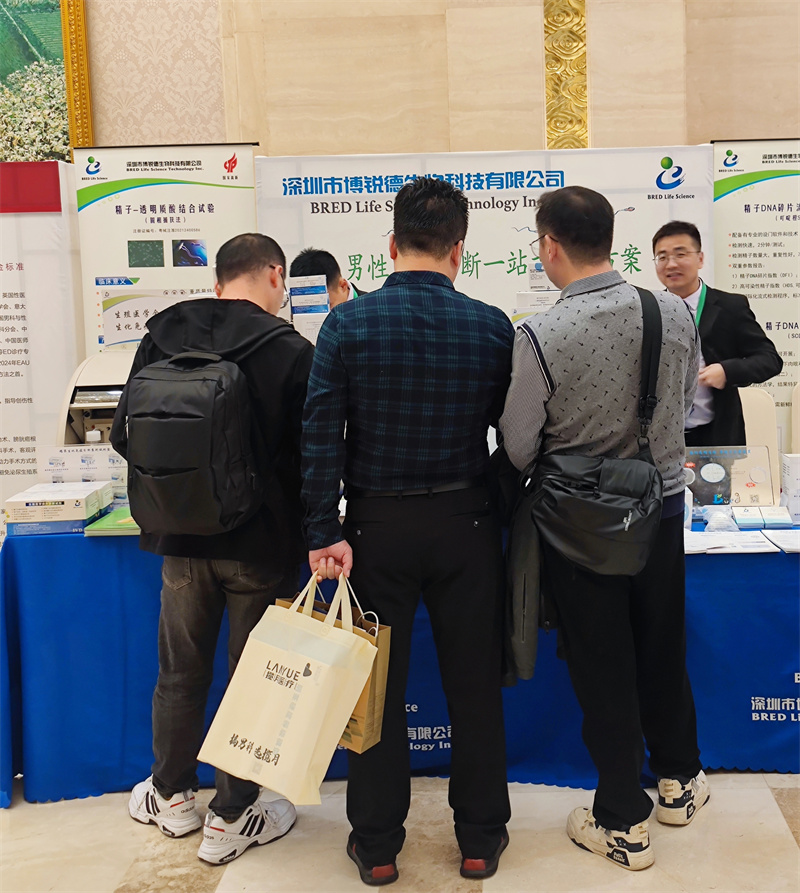 开云体云app官网入口