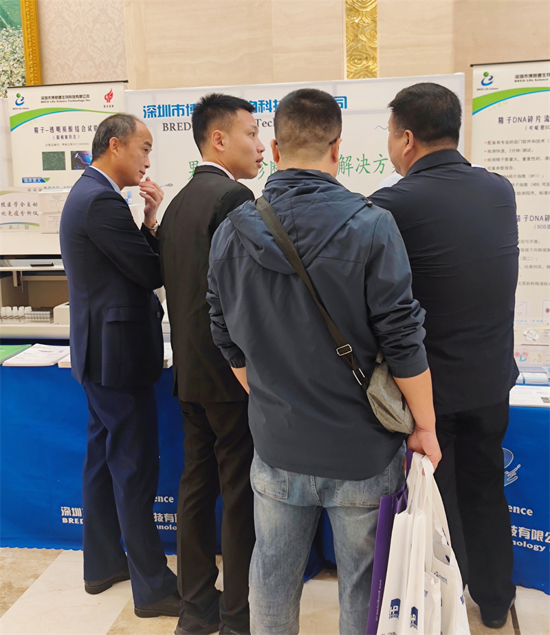 开云体云app官网入口