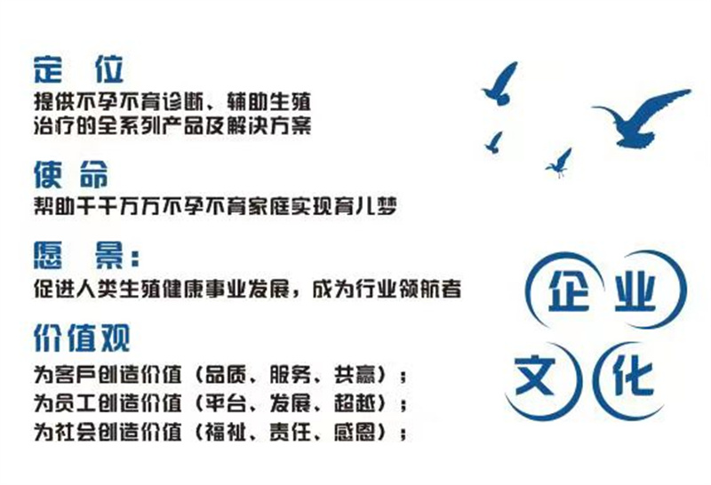 开云体云app官网入口