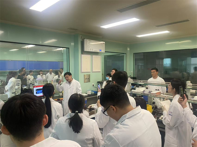 开云体云app官网入口