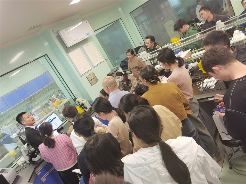 开云体云app官网入口