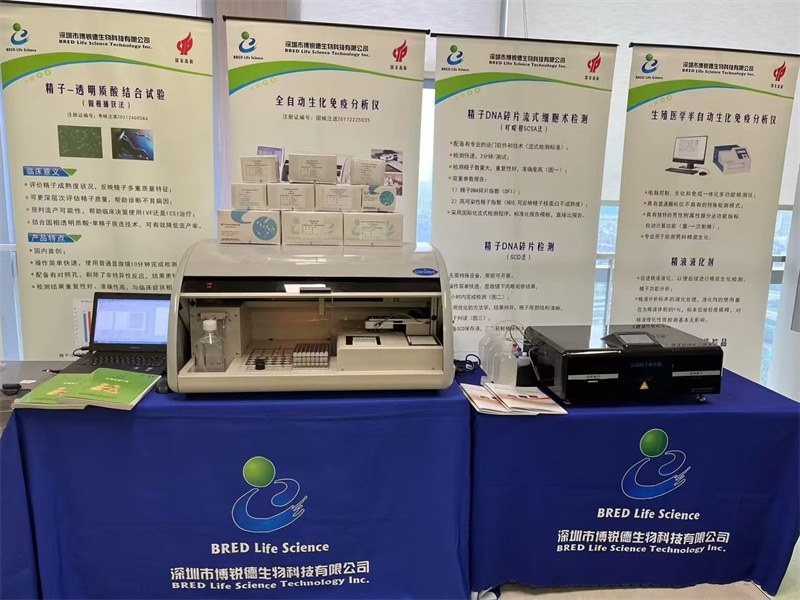 开云体云app官网入口