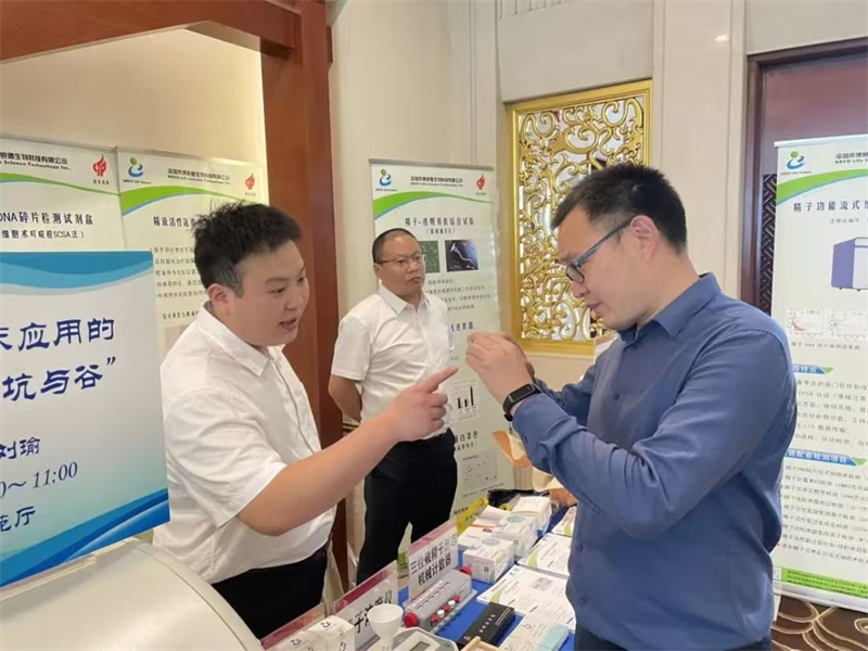 开云体云app官网入口