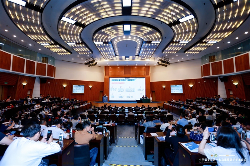 开云体云app官网入口