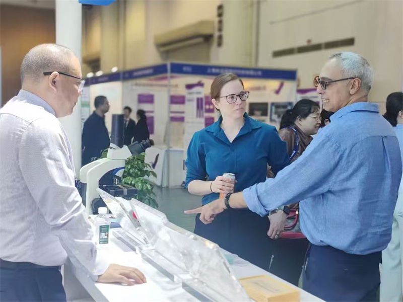 开云体云app官网入口