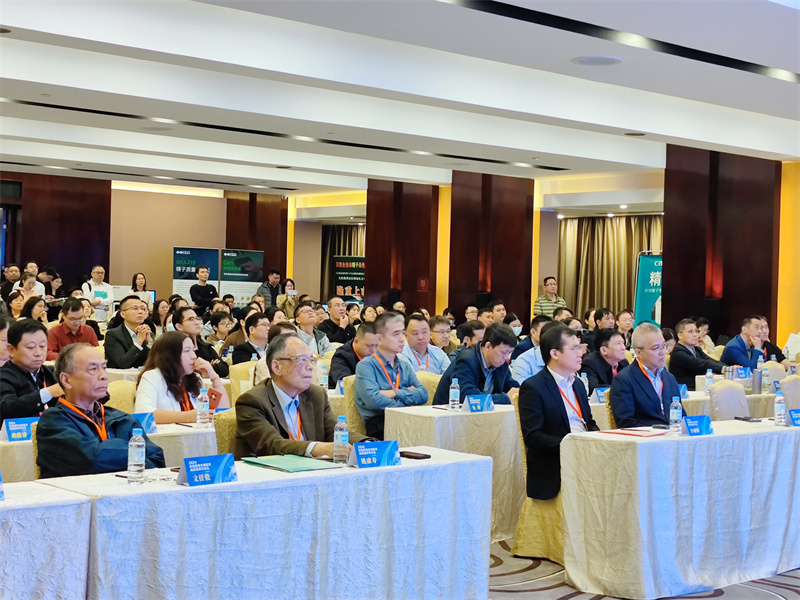 开云体云app官网入口