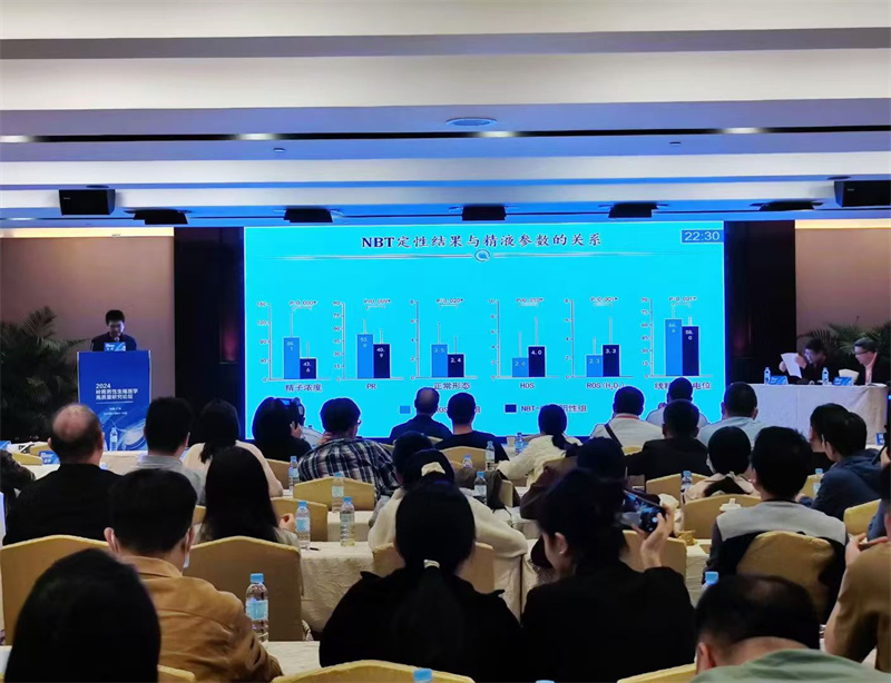 开云体云app官网入口