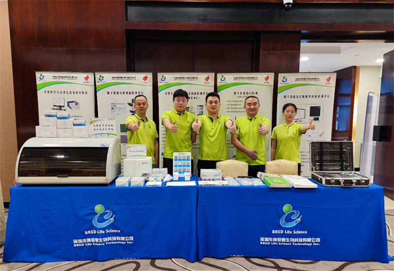 开云体云app官网入口