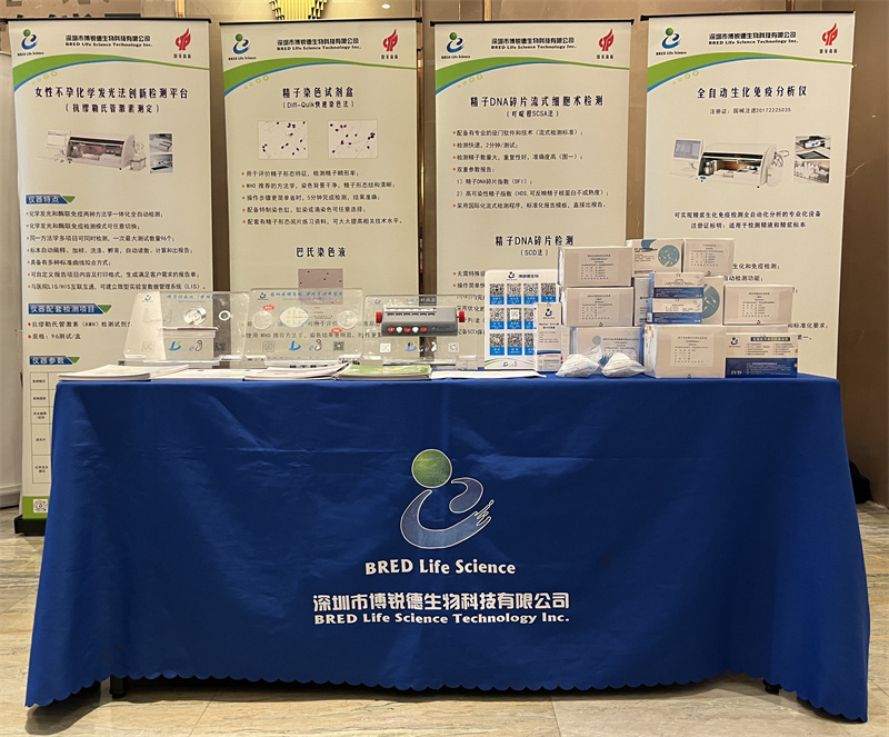 开云体云app官网入口