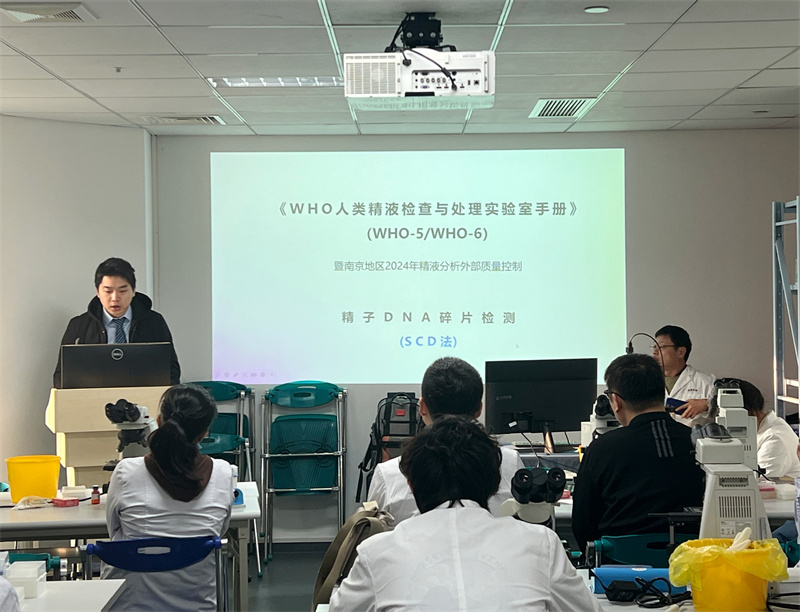 开云体云app官网入口