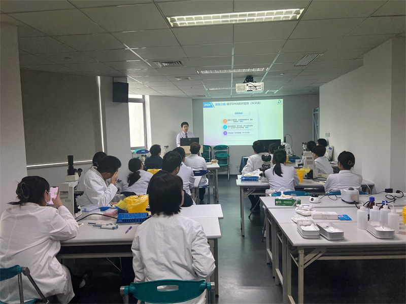 开云体云app官网入口