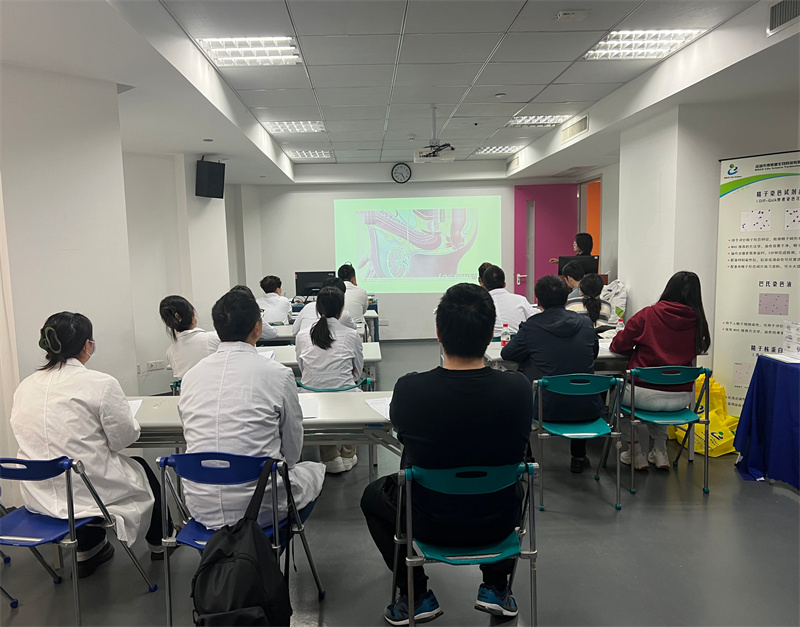 开云体云app官网入口