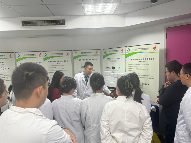 开云体云app官网入口