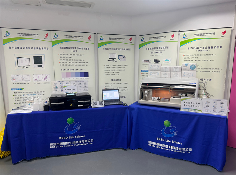 开云体云app官网入口