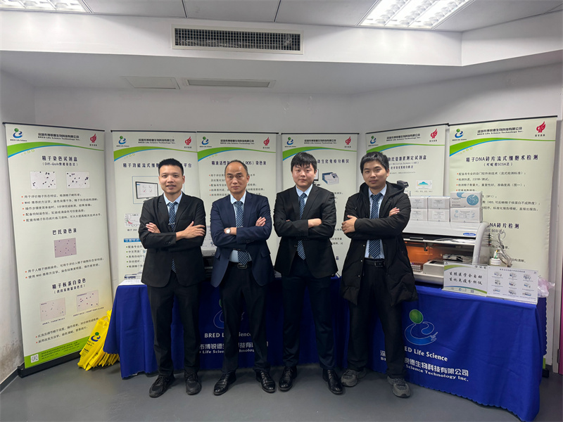 开云体云app官网入口