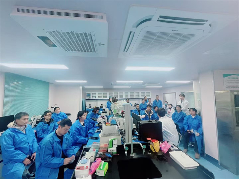 开云体云app官网入口