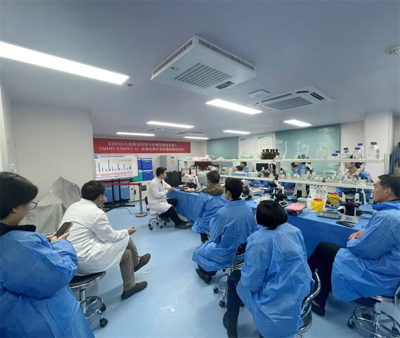 开云体云app官网入口