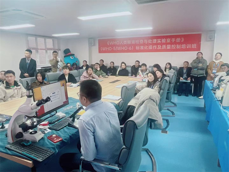 开云体云app官网入口