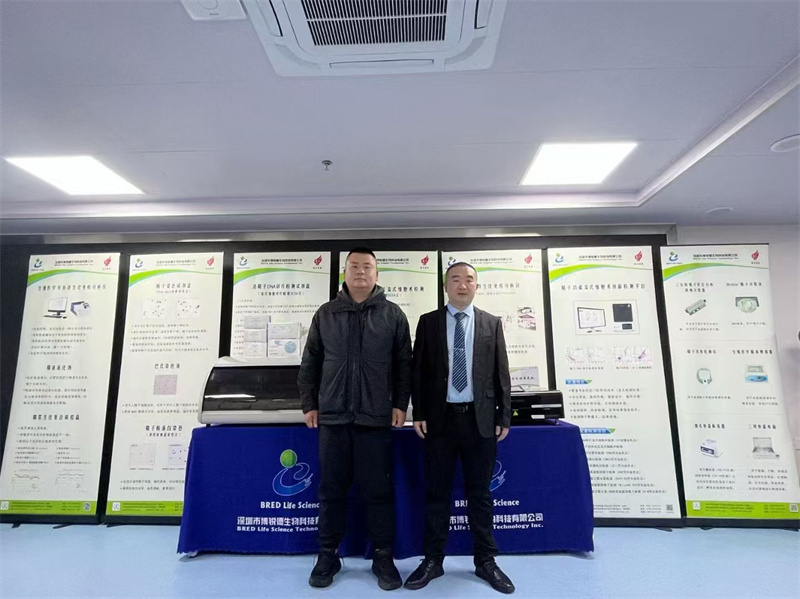 开云体云app官网入口