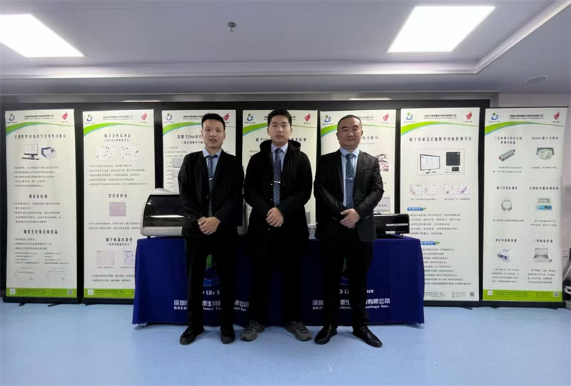 开云体云app官网入口