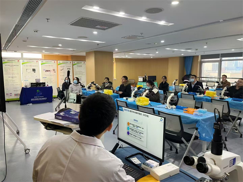 开云体云app官网入口