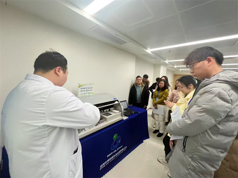 开云体云app官网入口