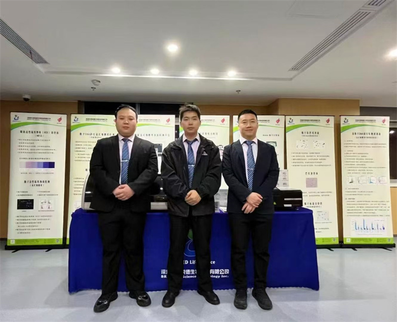 开云体云app官网入口