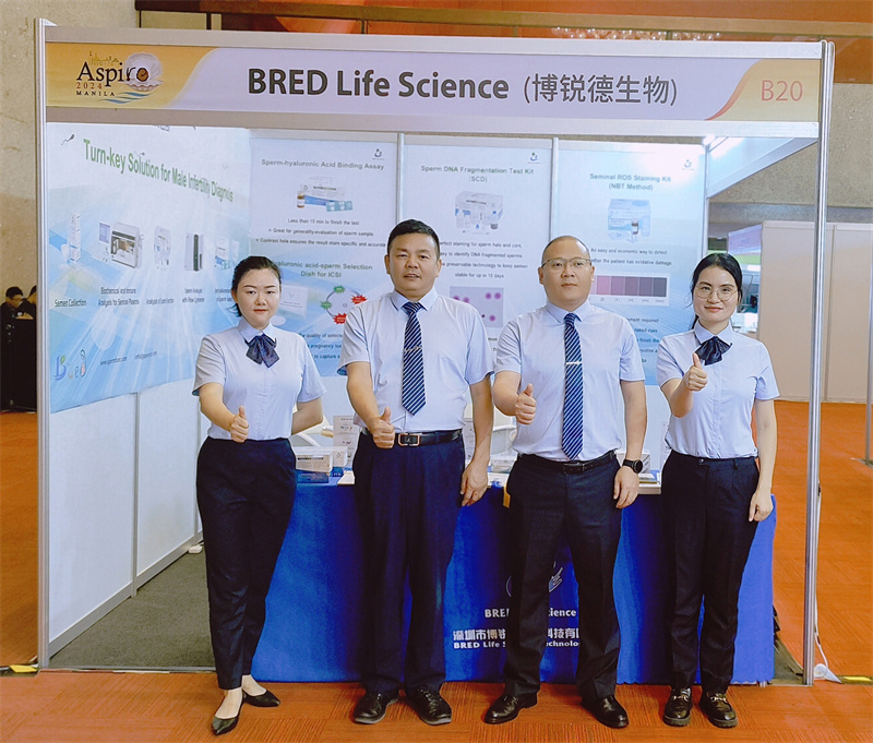 开云体云app官网入口