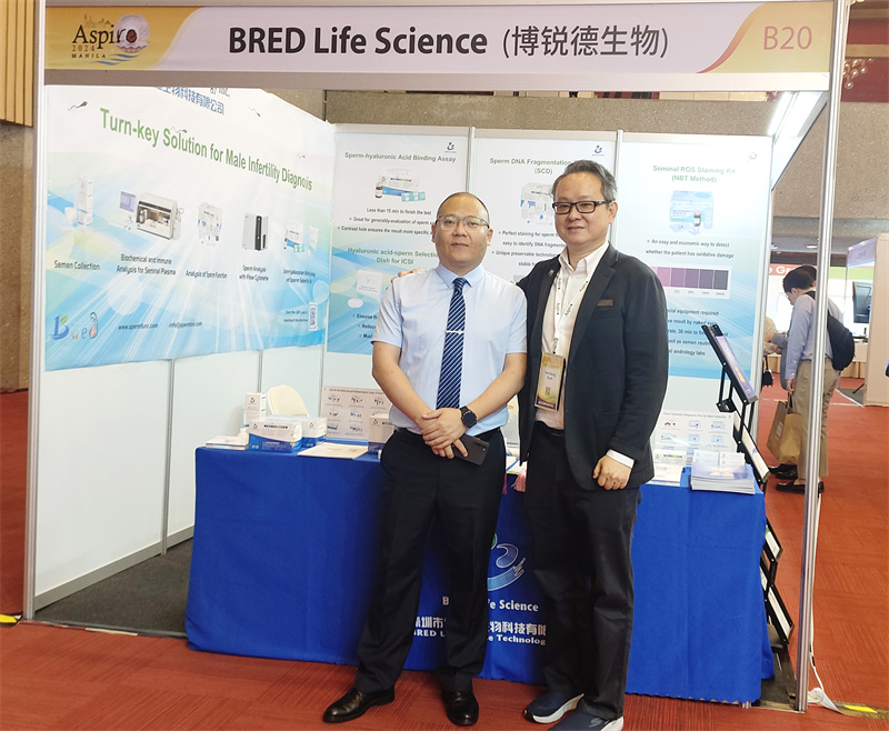 开云体云app官网入口