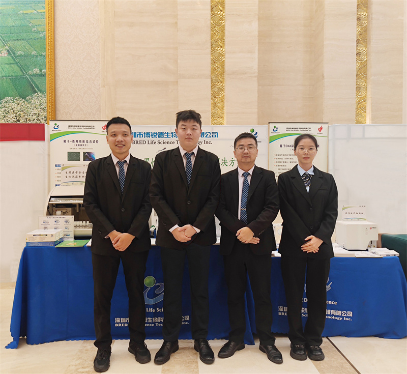 开云体云app官网入口