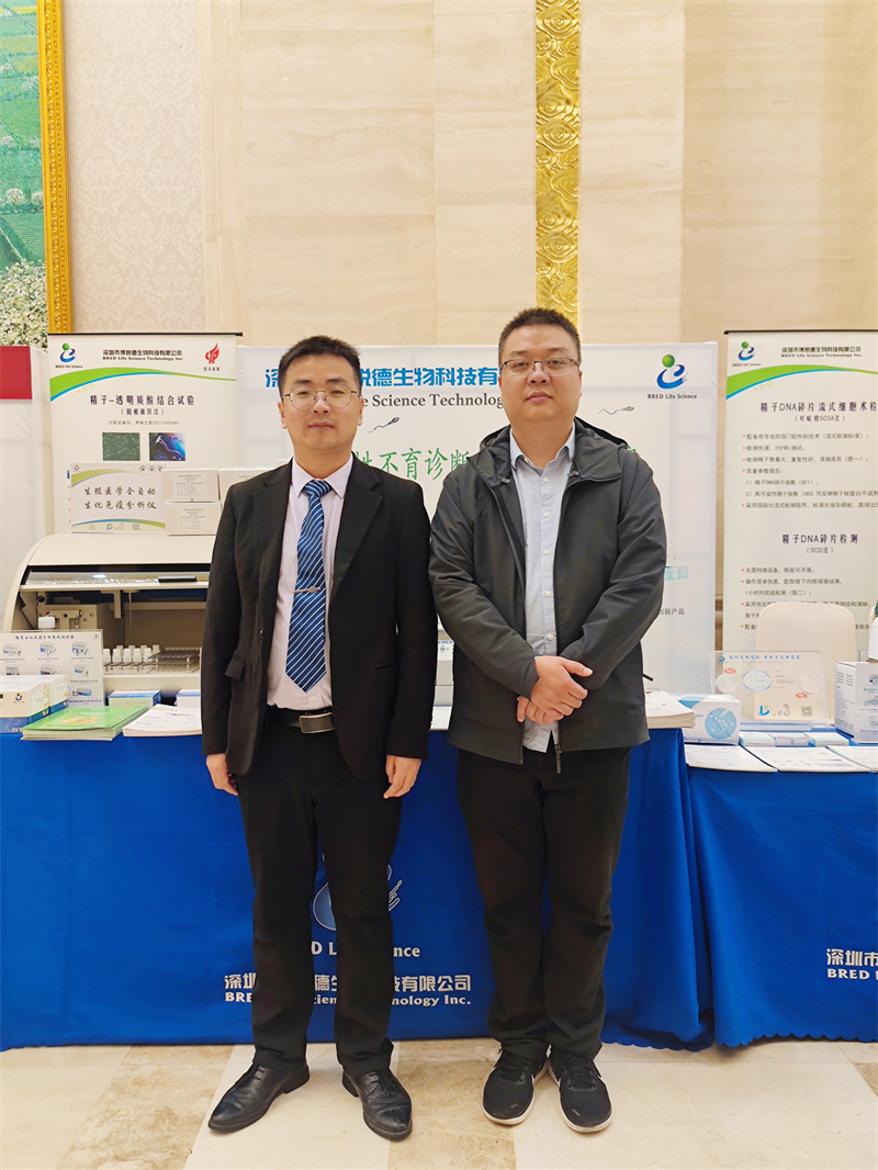 开云体云app官网入口