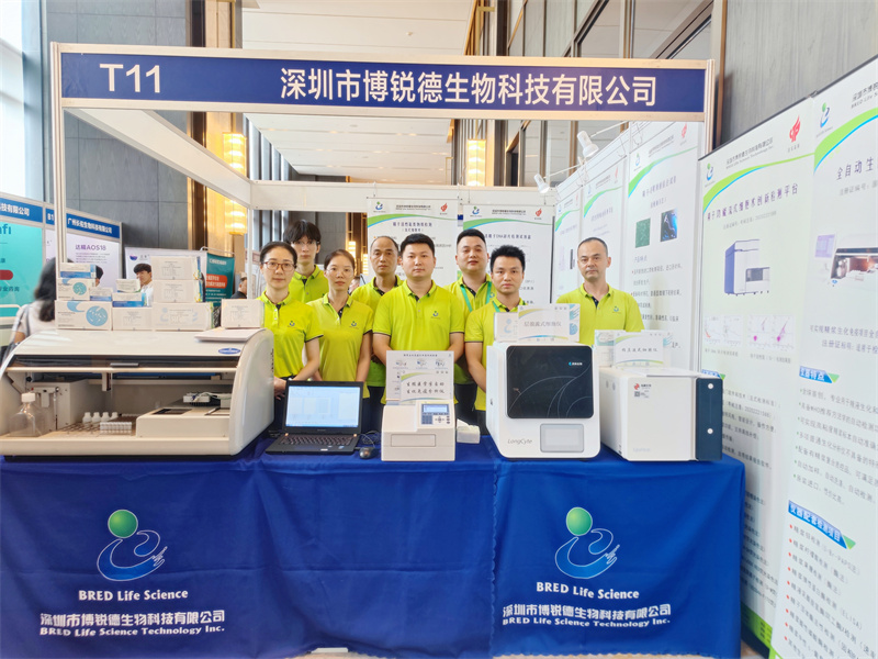 开云体云app官网入口