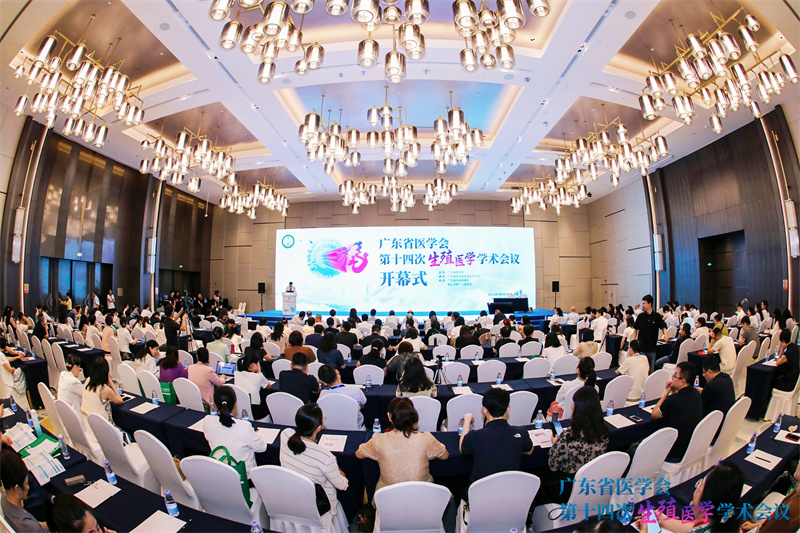 开云体云app官网入口