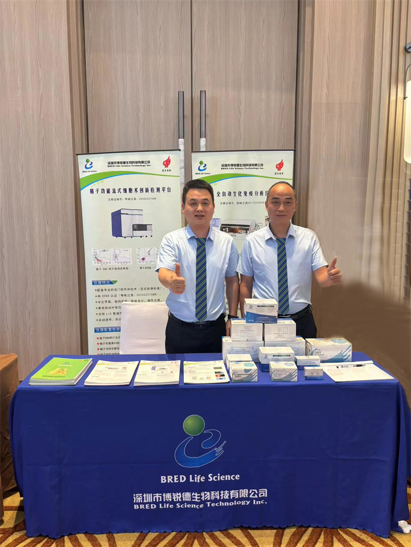 开云体云app官网入口