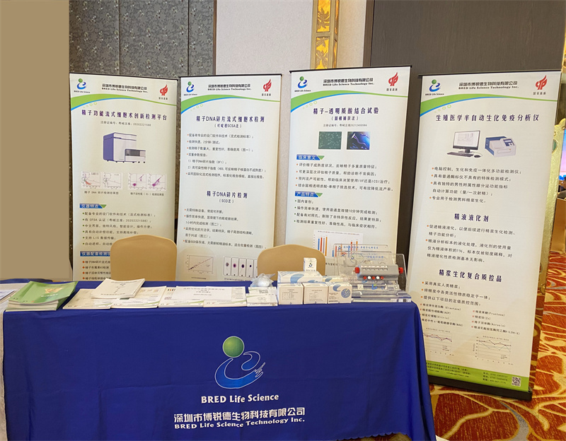 开云体云app官网入口