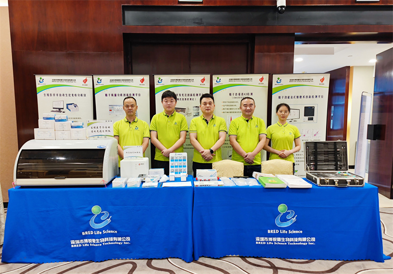 开云体云app官网入口