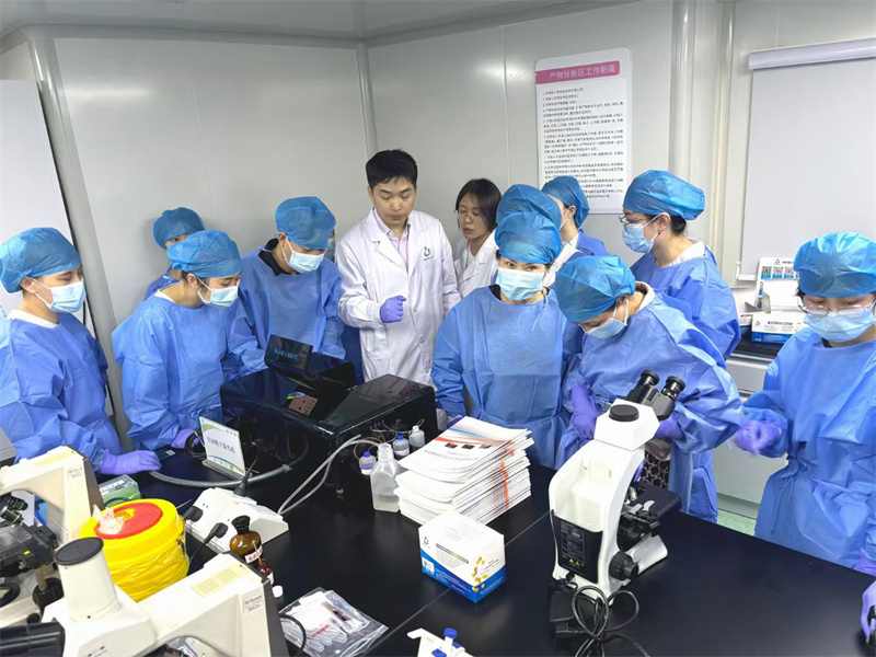 开云体云app官网入口