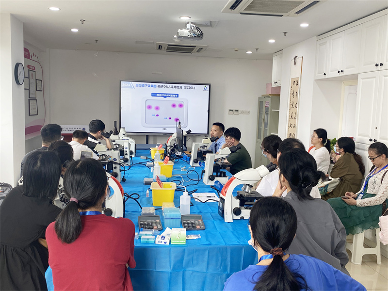 开云体云app官网入口