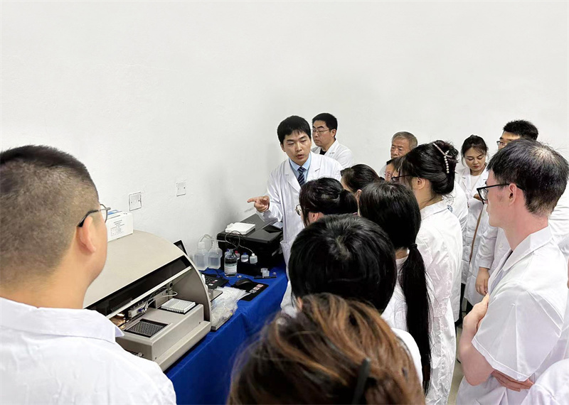 开云体云app官网入口