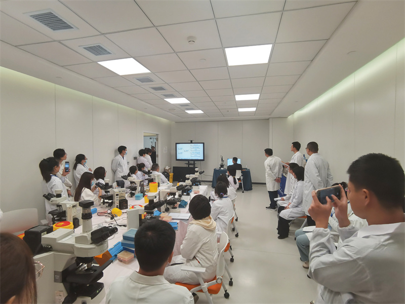 开云体云app官网入口