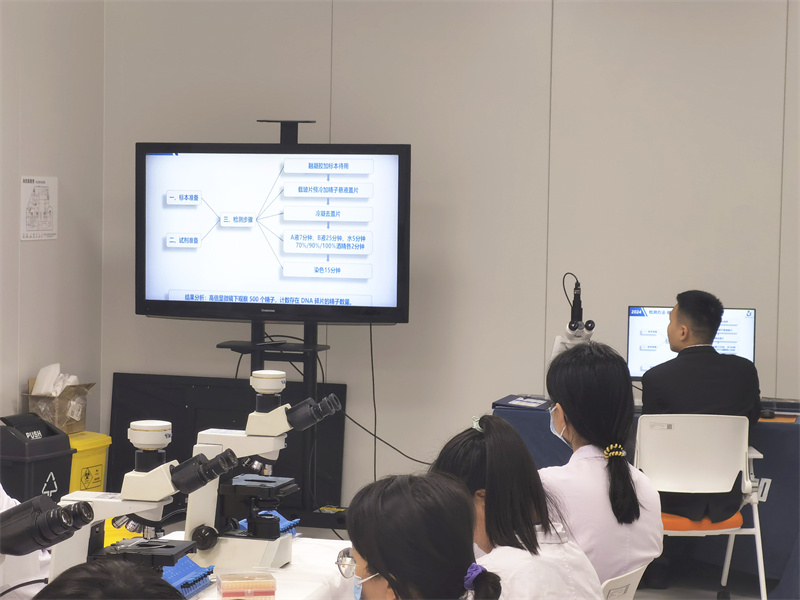 开云体云app官网入口